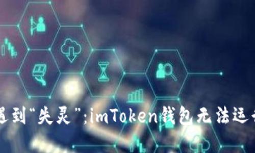 当数字钱包遇到“失灵”：imToken钱包无法运行的解决方案