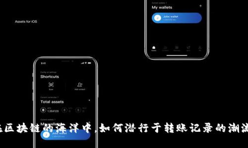 在区块链的海洋中，如何潜行于转账记录的潮流？
