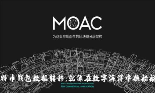 比特币钱包数据转移：就像在数字海洋中换船航行