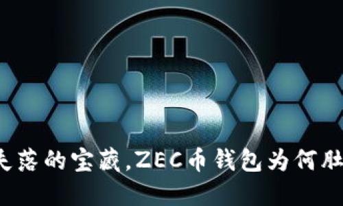 就像失落的宝藏，ZEC币钱包为何肚子饿？