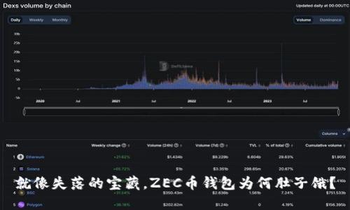 就像失落的宝藏，ZEC币钱包为何肚子饿？