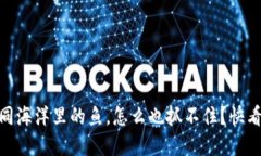 钱包里的USDT如同海洋里的鱼，怎么也抓不住？快