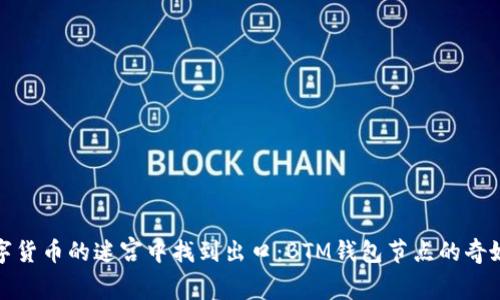 在数字货币的迷宫中找到出口：BTM钱包节点的奇妙旅程