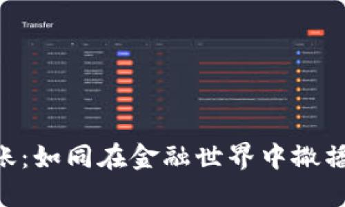 Zec钱包转账：如同在金融世界中撒播希望的种子