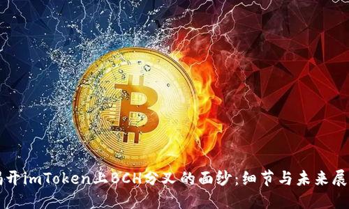揭开imToken上BCH分叉的面纱：细节与未来展望