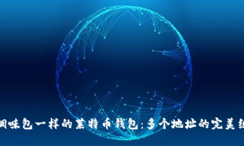 像调味包一样的莱特币钱包：多个地址的完美组合