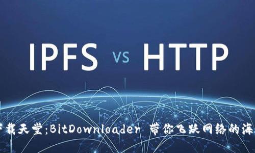 下载天堂：BitDownloader 带你飞跃网络的海洋
