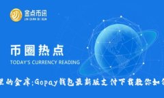像口袋里的金库：Gopay钱包最新版支付下载教你如