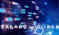 解锁数字钱包的秘密：imToken钥匙格式详解
