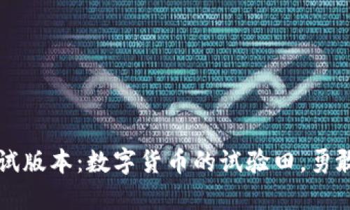 币安钱包测试版本：数字货币的试验田，勇敢者的游戏场