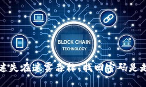 “丢失密码如迷失在迷雾森林，找回密码是走出迷雾的光”