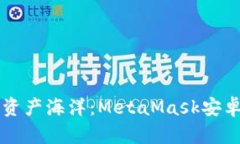 畅游数字资产海洋：MetaMask安卓安装指南