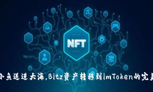 像把小鱼送进大海，Bitz资产转移到imToken的完美指南