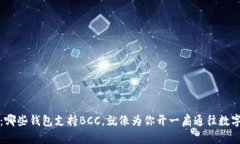 解锁未来：哪些钱包支持BCC，就像为你开一扇通