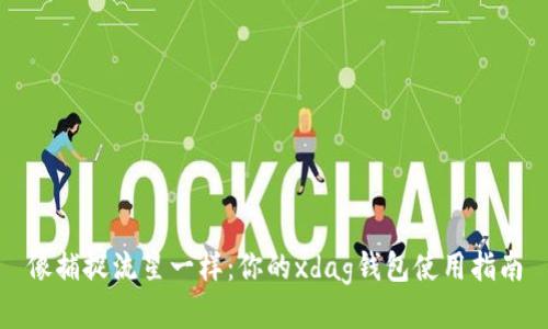 像捕捉流星一样：你的xdag钱包使用指南
