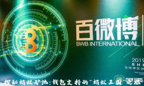 
探秘蚂蚁矿池：钱包支持的“蚂蚁王国”之旅