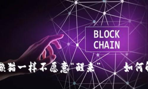 当比特币钱包像懒猫一样不愿意“醒来”——如何解决钱包同步问题