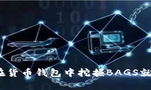发现隐秘财富：如何在货币钱包中挖掘BAGS就像在沙漠中寻找水源
