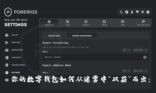 你的数字钱包如何从迷雾中“双菇”而出：