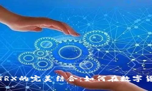 ImToken钱包与TRX的完美结合：如何在数字货币的海洋中航行