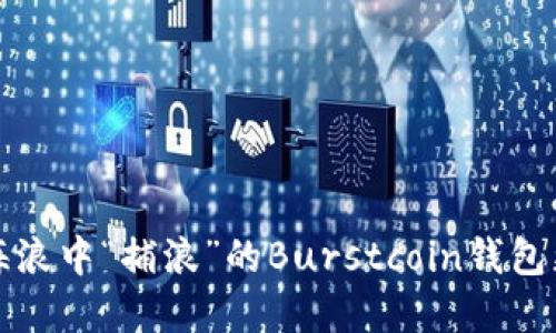 像是在海浪中“捕浪”的Burstcoin钱包更新指南