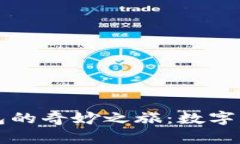 私钥导入钱包的奇妙之旅：数字资产的藏宝图