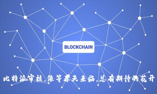 比特派审核，像等春天来临，总有期待的花开