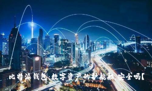 比特派钱包：数字资产的护航船，安全吗？