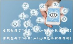 当钱包成了“冰箱”：uPay钱包会被冻结吗？当钱