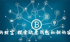 保护你的财富：探索欧意钱包私钥的安全之道