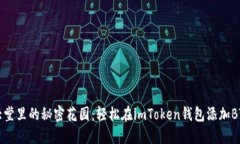 “如同银行大堂里的秘密花园：轻松在imToken钱包