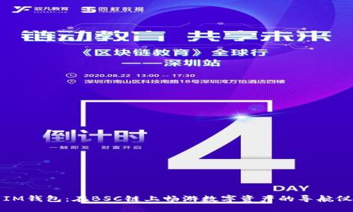 “IM钱包：在BSC链上畅游数字资产的导航仪”