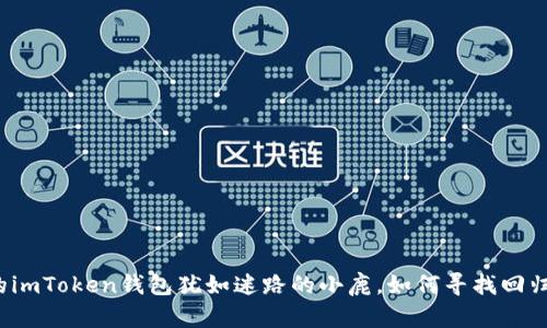 丢失的imToken钱包犹如迷路的小鹿，如何寻找回归方向？
