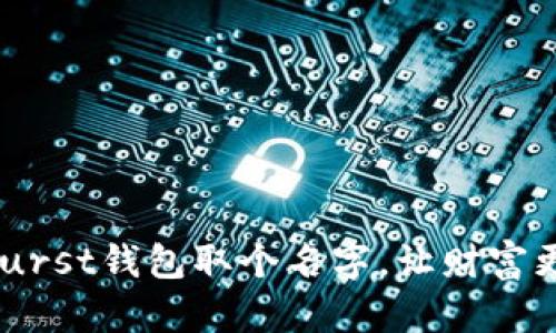 为你的Burst钱包取个名字，让财富更具个性！