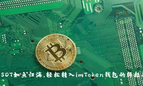 将USDT如鱼归海，轻松转入imToken钱包的终极指南