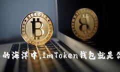 在数字货币的海洋中，ImToken钱包就是你的导航仪