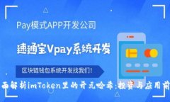 全面解析imToken里的开元哈希：投资与应用前景