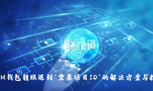 : IM钱包转账遇到“需要项目ID”的解决方案与技巧