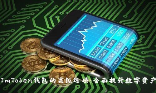 深入解析ImToken钱包的高级选项：全面提升数字资产管理效率