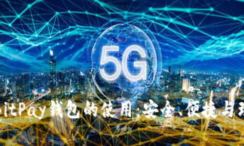 全面解析BitPay钱包的使用：安全、便捷与理财新选择