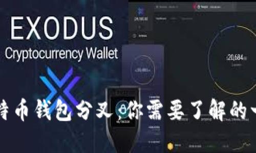 比特币钱包分叉：你需要了解的一切