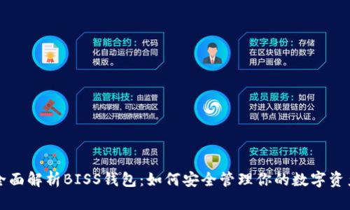 全面解析BISS钱包：如何安全管理你的数字资产