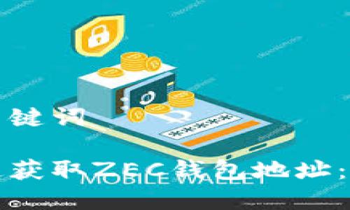 思考和关键词

如何快速获取ZEC钱包地址：完整指南