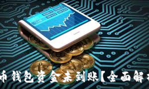   
bianoti莱特币钱包资金未到账？全面解析与解决方案