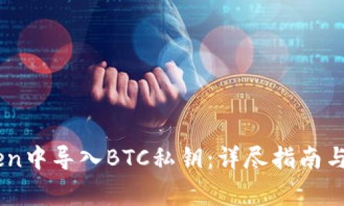 如何在ImToken中导入BTC私钥：详尽指南与常见问题解答
