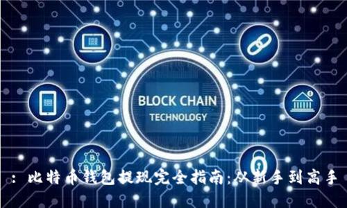 : 比特币钱包提现完全指南：从新手到高手