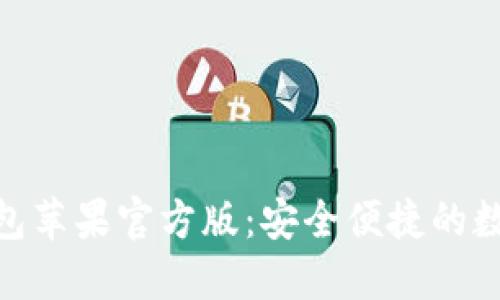 : ImToken冷钱包苹果官方版：安全便捷的数字资产管理工具