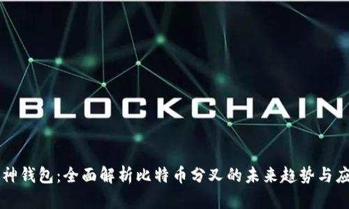 酷神钱包：全面解析比特币分叉的未来趋势与应用