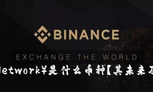 派币（Pi Network）是什么币种？其未来及潜力分析