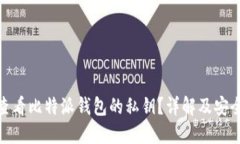 如何查看比特派钱包的私钥？详解及安全措施